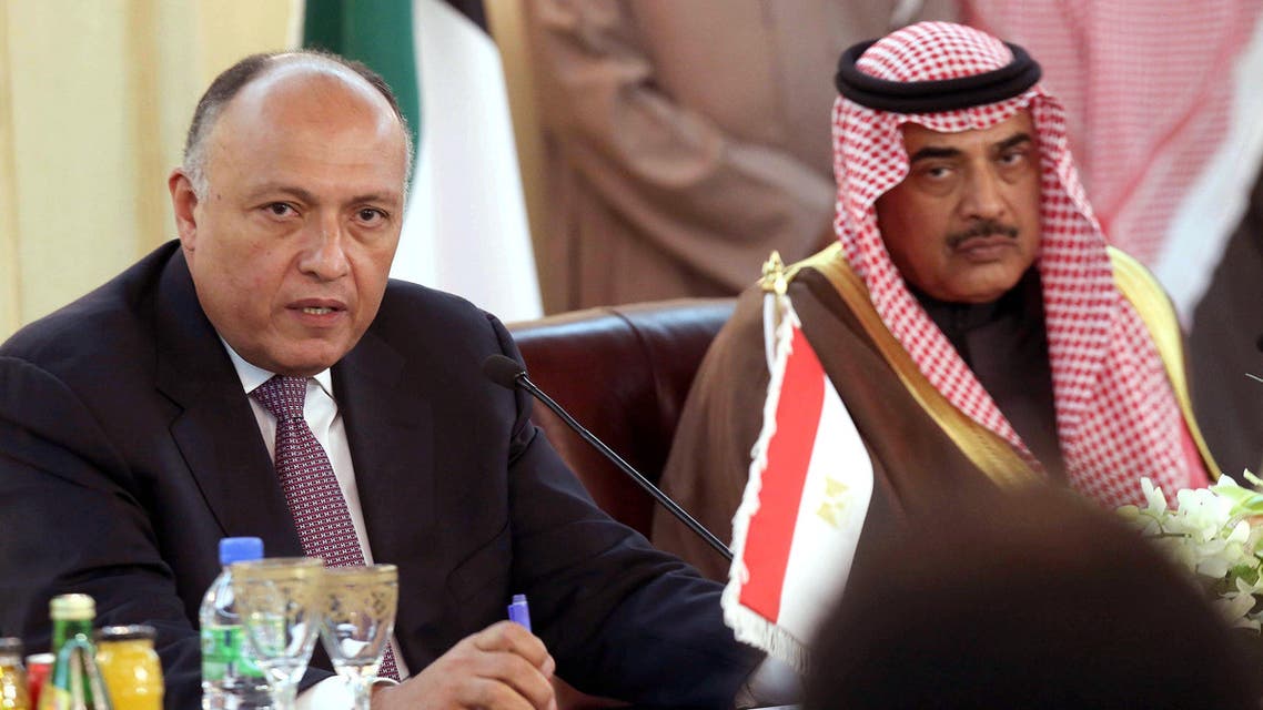 Sameh Shoukri Egypt foreign ministry AFP