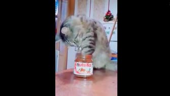 Nuts for Nutella! Watch adorable cat enjoy sweet treat