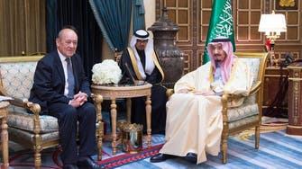 Saudi crown prince meets French defense minister