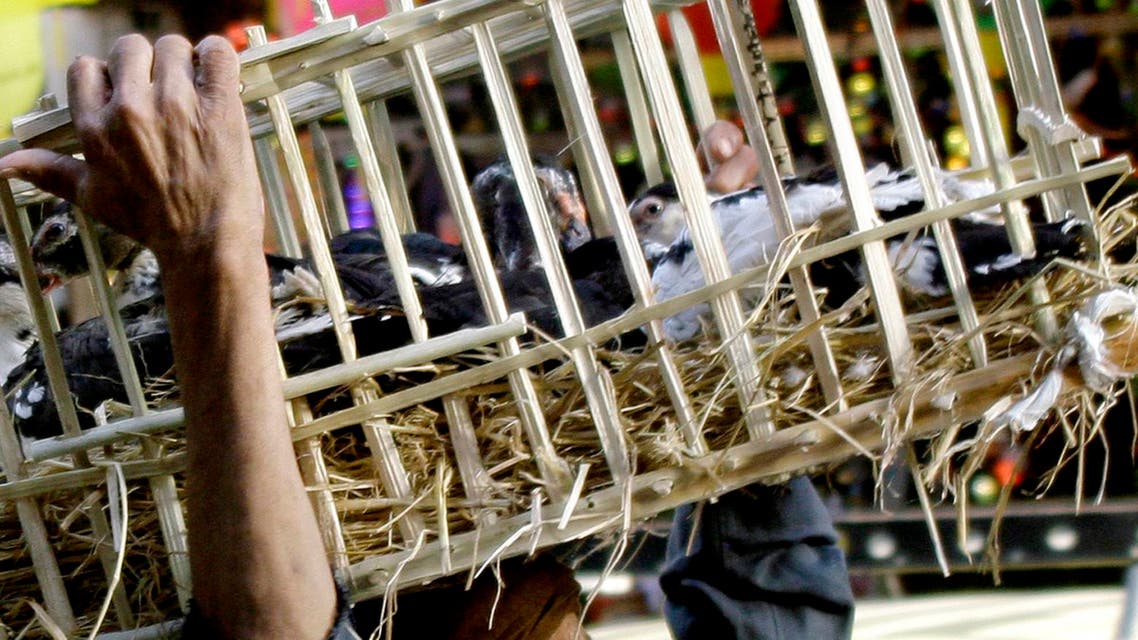 Egypt Bird Flu AP