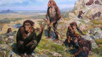 Study: Three-million-year-old ancestor had human-like hands 
