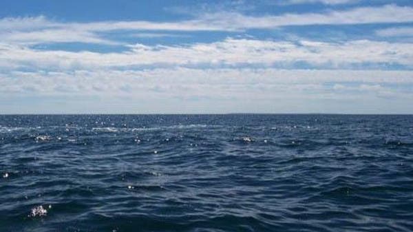 عبر المحيط بقارب صغير في 3 أشهر ليحضر عيد ميلاد والده