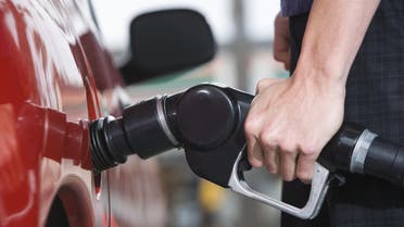 Egypt considers cutting fuel subsidies (Shutterstock) 