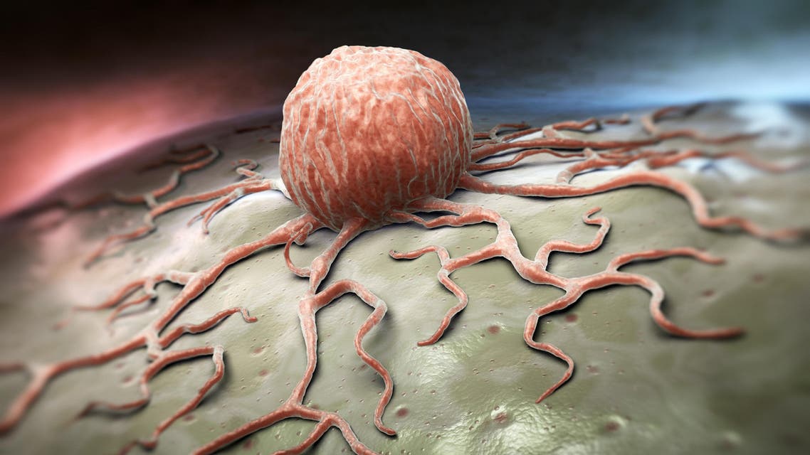 cancer cells shutterstock