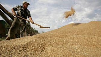 Official grain agency: Saudi Arabia buys 690,000 tons of hard wheat 