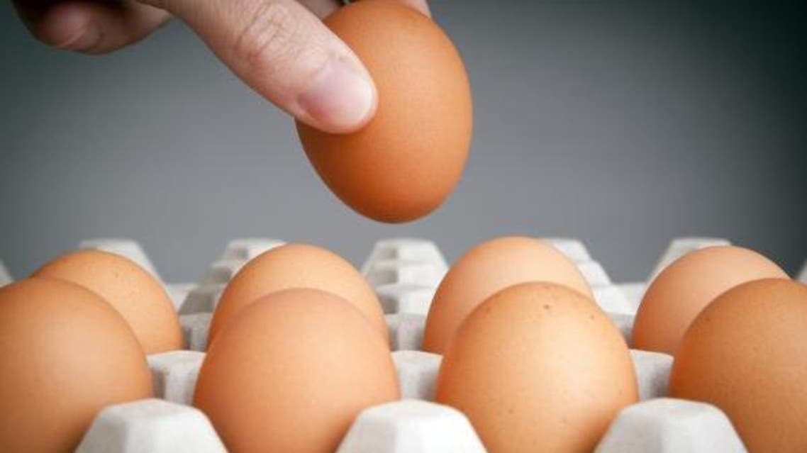 egg بيض