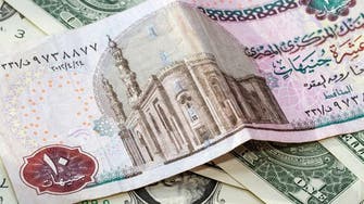 Egyptian pound steady for seventh straight dollar sale