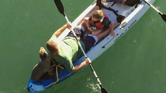 Sea lion joins family kayak trip in California