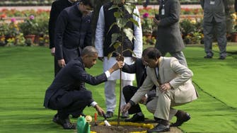 Obama's tree is not dead, it just looks it, insists India