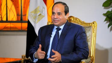 President Abdel Fattah al-Sisi interview with AA 