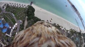 Video: Dubai seen through an ‘eagle eye’