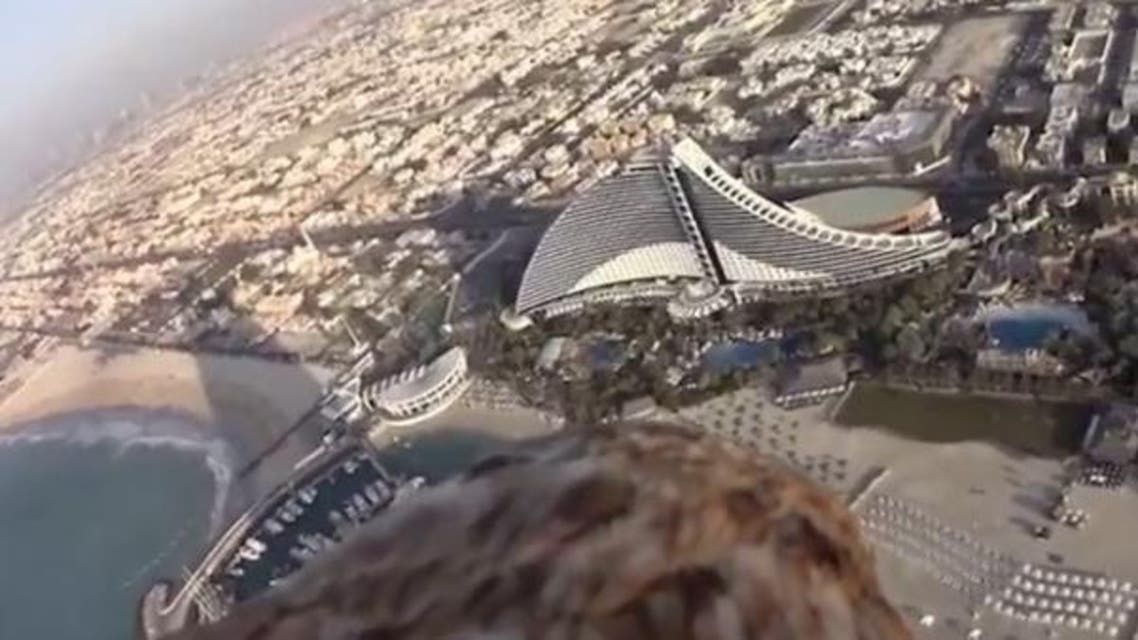 Eagle eye one