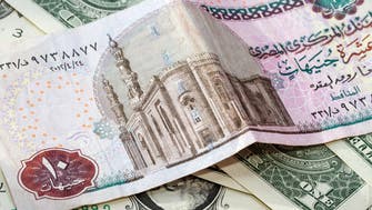 Egyptian pound steady at official auction and in exchange bureaus