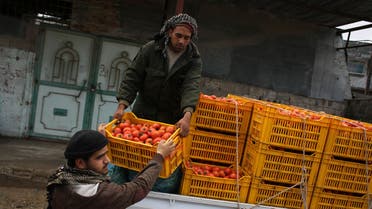 Gaza farmers export first produce to Israel after 8 years (AFP)