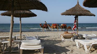 In this photo taken Sunday, July 9, 2011 a group of camels walks down a mostly empty beach on the island of Djerba, Tunisia. AP