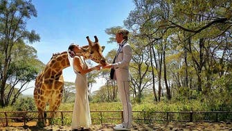 Acrobat couple plans 38 weddings around the world 