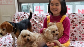 Dogs by the hour: Japan offers pet rental service