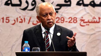Yemen FM calls for Arab ground intervention 
