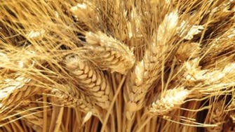 Syria in talks for 100,000 tonnes grain swap deal with Italy