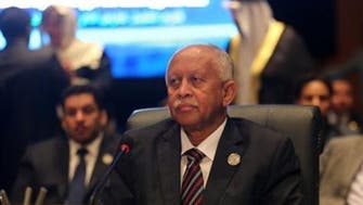 Yemen FM calls for coalition to send ground troops 