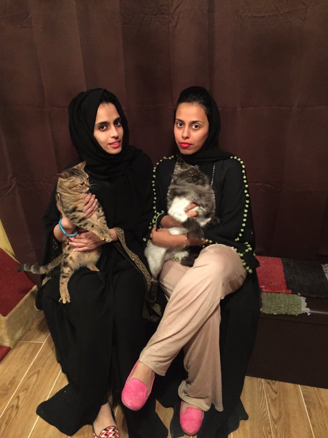 Saudi sisters launch Middle East s first cat  caf  in Dubai  