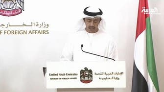 UAE FM: Iran is meddling in Yemen and the region 