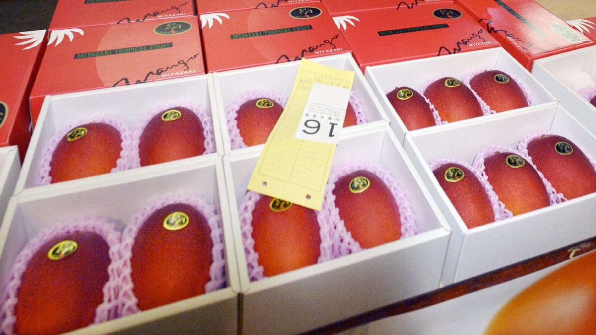 Pair of Japanese mangoes? Sold to the man with $2,500 | Al Arabiya English