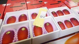 Pair of Japanese mangoes? Sold to the man with $2,500 