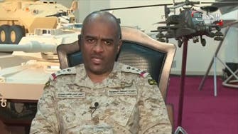 Anti-Houthi groups making progress: spokesman