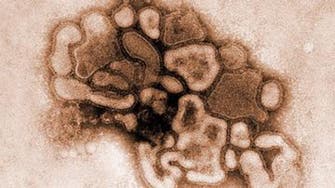Swine flu strikes doctor in Saudi city of Jeddah