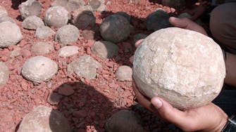 Dozens of dinosaur eggs found at construction site in China    