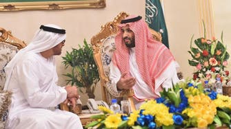 Saudi defense minister receives Abu Dhabi Crown Prince in Taif
