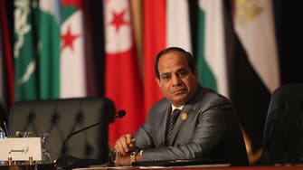 Egypt president says parliament elections to be held in 2015