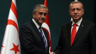 Erdogan, Turkish Cypriot leader push for peace efforts