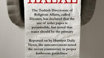 Turkish fatwa says using toilet paper is halal