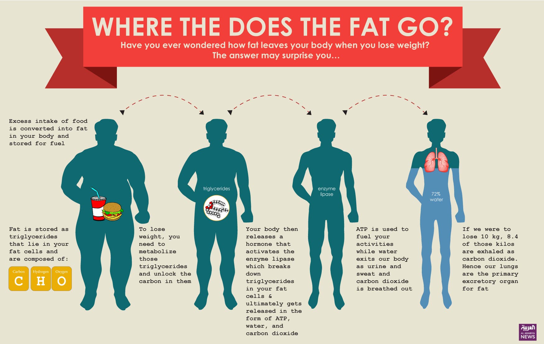 how does body fat leave the body        <h3 class=