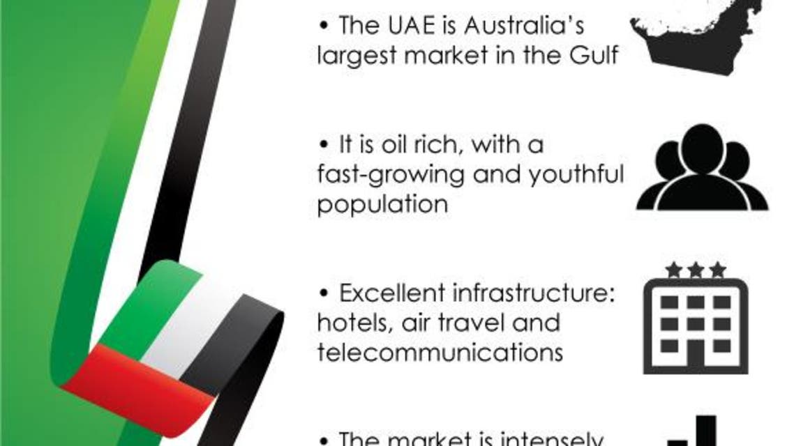 United Arab Emirates investment environment infographic
