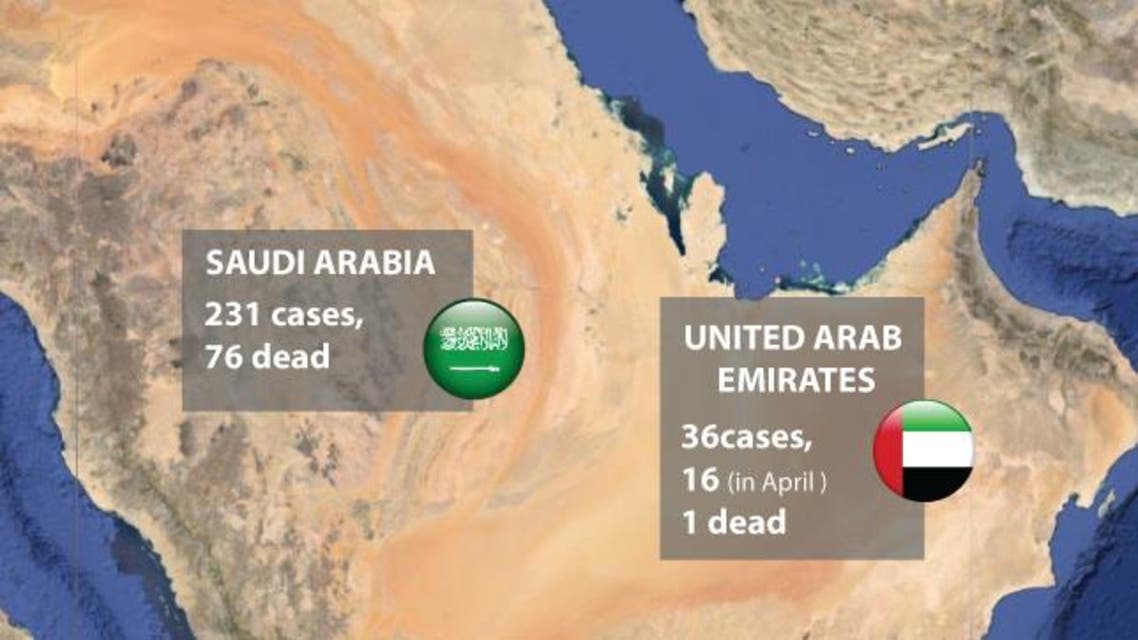MERS cases surge infographic
