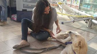 Egyptian dog finds refuge in U.S. after her puppies were murdered 