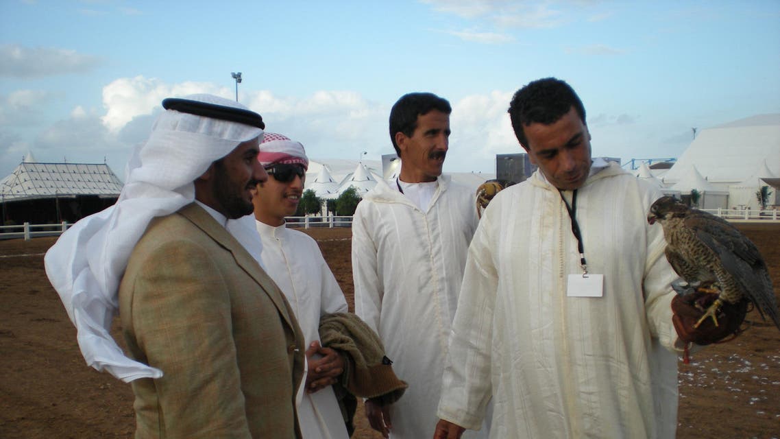 مهرجان الصقارة في المغرب