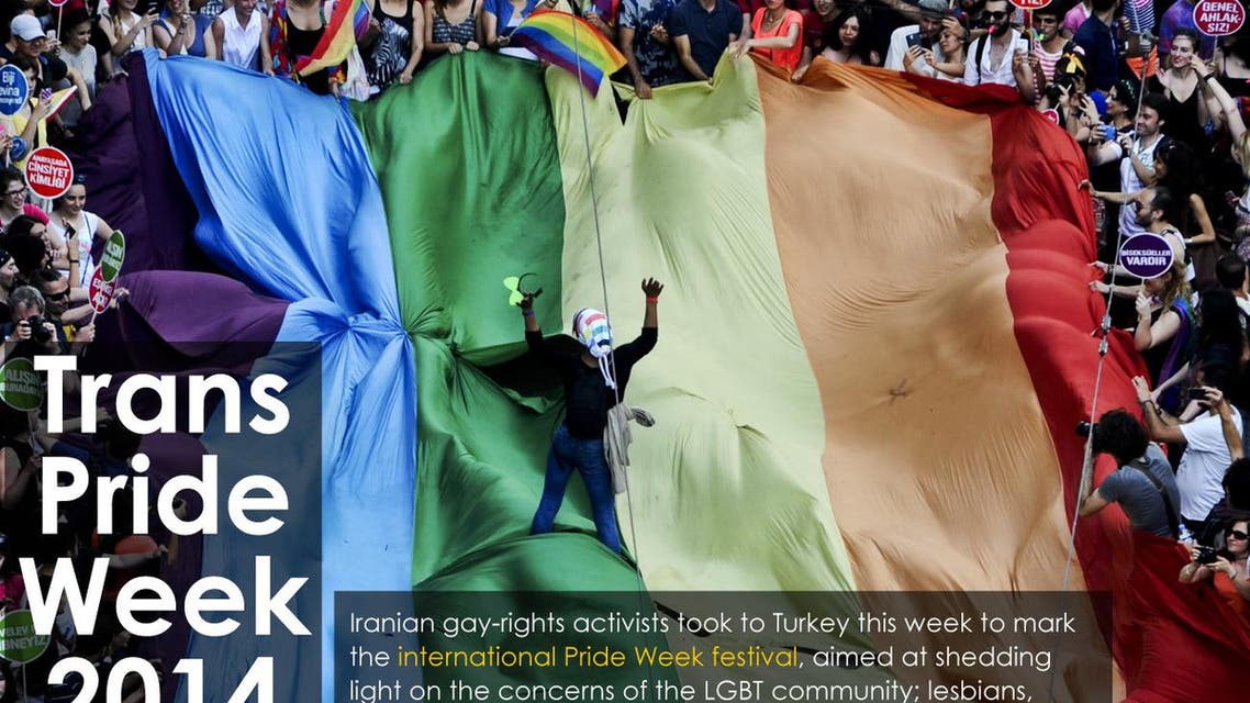 Trans Pride Week 2014 infographic