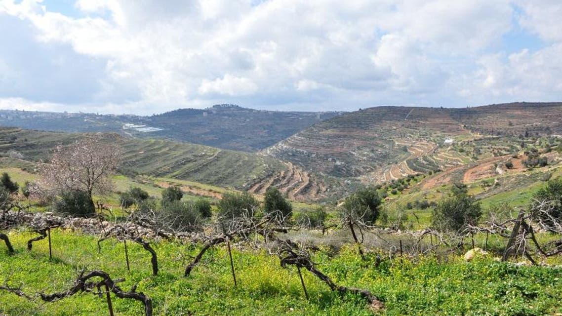 Business thrives in Palestinian village despite occupation woes | Al ...