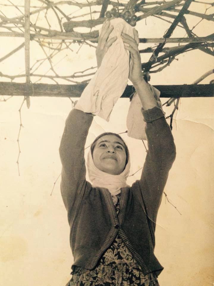 A Palestinian woman picking grapes, from the family album of Jamal Yousef Bek Ali. (Courtesy: Palestinian Museum)