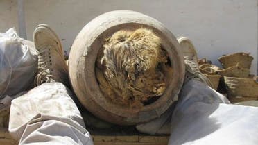 Picture from the website shows two “well preserved dogs buried in pots some 3000 years ago”. (Courtesy: Discovery News website)