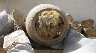 Study: Grave of 8 million mummified dogs unearthed in Egypt 