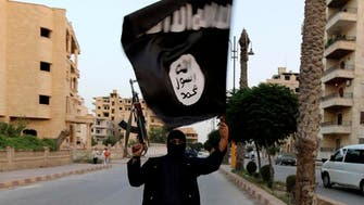 Turkey arrests seven ISIS suspects: media 