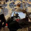Yemen’s Houthis attack Saudi border towns