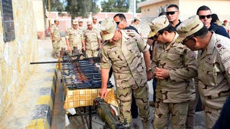 Egypt killed 241 Sinai militants from July 1-5, army says