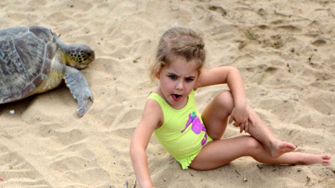 A child sits with a green turtle before releasing them at a beach in Sanur on the Indonesian resort island of Bali on July 9, 2015.