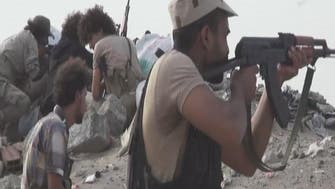 Panorama: Yemen's Houthi, Saleh militias and Resistance forces